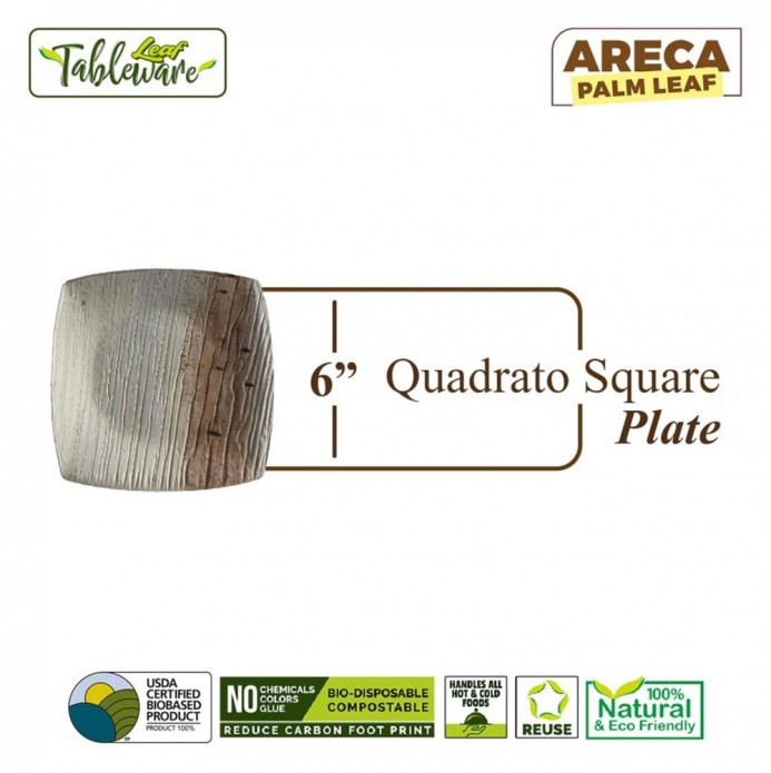 6" Quadrato Square Cheese Plate